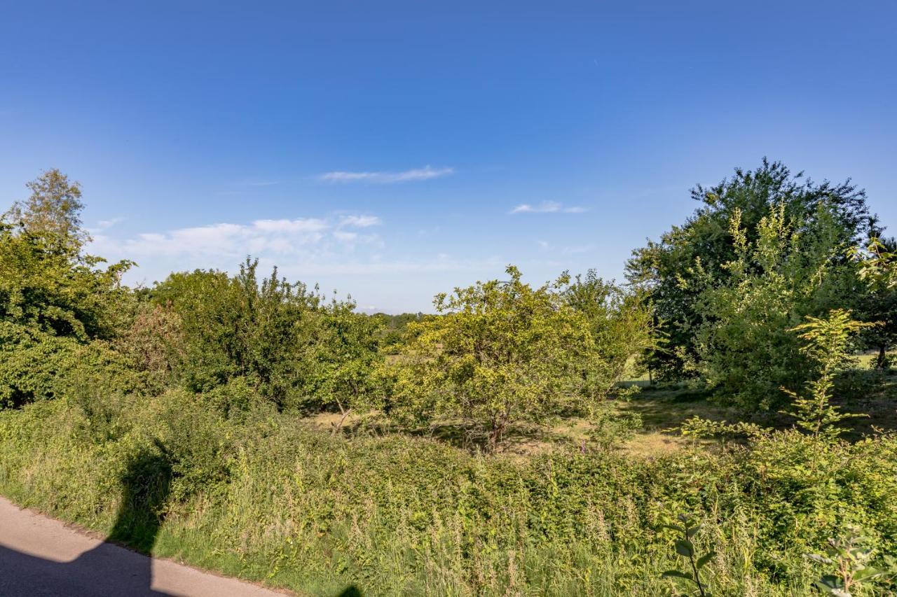 Danny Lodge - Country Cottage Near Brighton By Huluki Sussex Stays Hurstpierpoint Luaran gambar