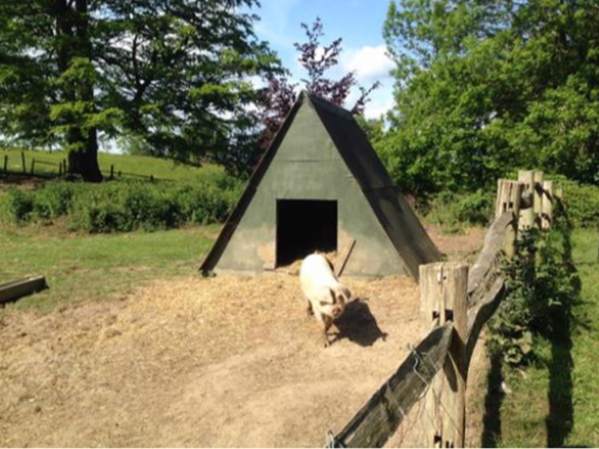 Danny Lodge - Country Cottage Near Brighton By Huluki Sussex Stays Hurstpierpoint Luaran gambar